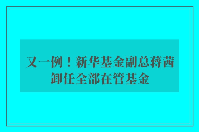 又一例！新华基金副总蒋茜卸任全部在管基金