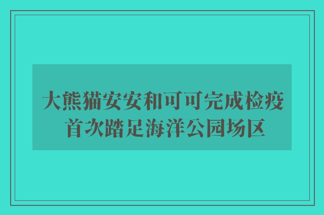 大熊猫安安和可可完成检疫 首次踏足海洋公园场区