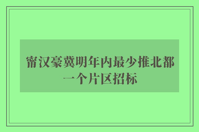 甯汉豪冀明年内最少推北都一个片区招标