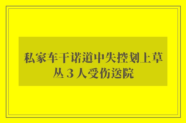 私家车干诺道中失控刬上草丛３人受伤送院