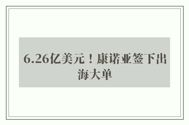 6.26亿美元！康诺亚签下出海大单