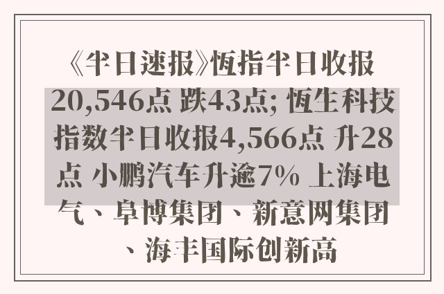 《半日速报》恆指半日收报20,546点 跌43点; 恆生科技指数半日收报4,566点 升28点 小鹏汽车升逾7% 上海电气、阜博集团、新意网集团、海丰国际创新高