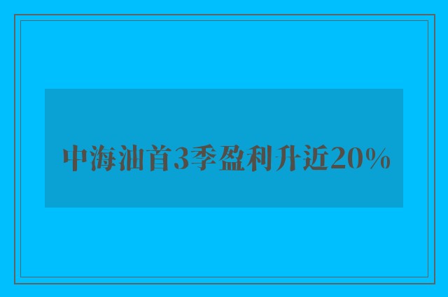 中海油首3季盈利升近20%