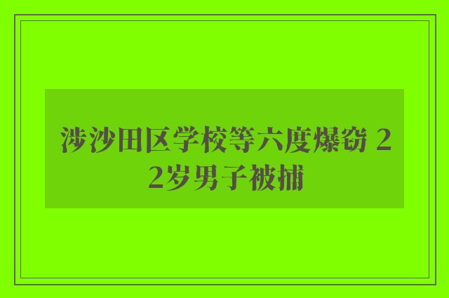 涉沙田区学校等六度爆窃 22岁男子被捕