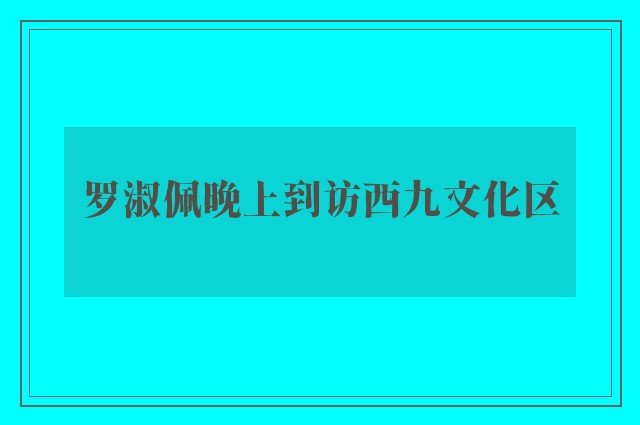 罗淑佩晚上到访西九文化区