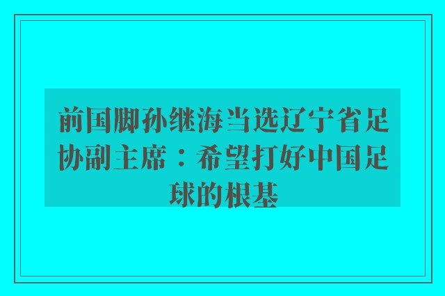 前国脚孙继海当选辽宁省足协副主席：希望打好中国足球的根基