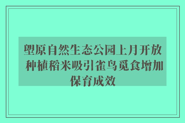 塱原自然生态公园上月开放 种植稻米吸引雀鸟觅食增加保育成效